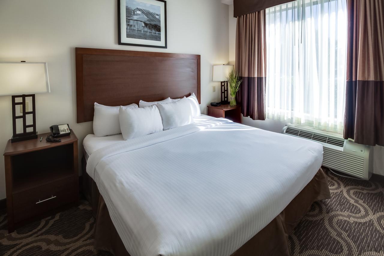 Ashmore Inn And Suites Lubbock Buitenkant foto