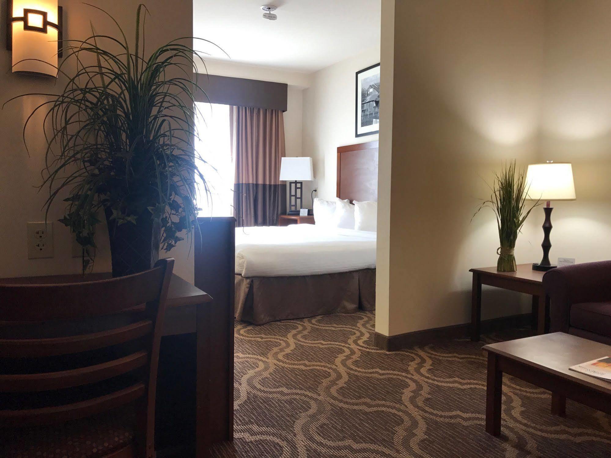 Ashmore Inn And Suites Lubbock Buitenkant foto